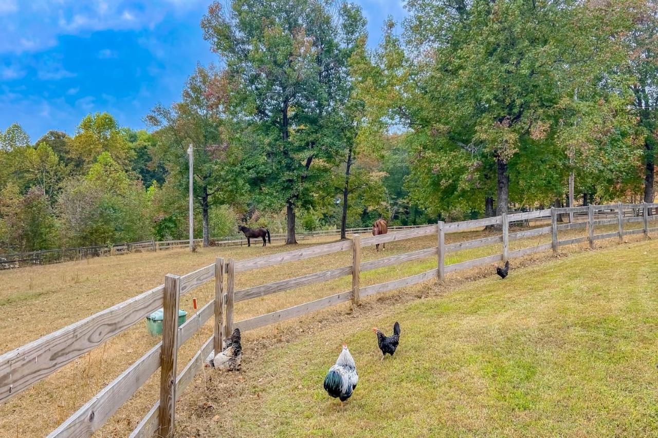 The Cottage At Overlook Farm Landrum Extérieur photo